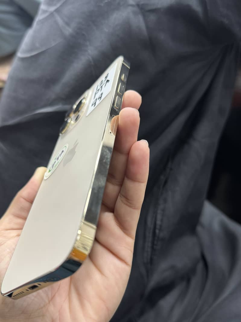 Apple iPhone 13 Pro Max 2