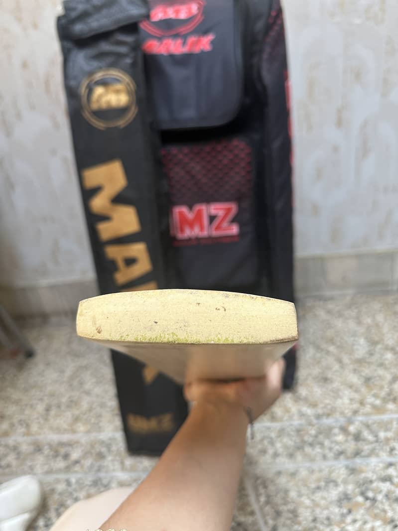 Cricket bat 2