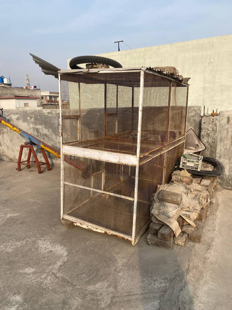 iron solid cage for hens 0
