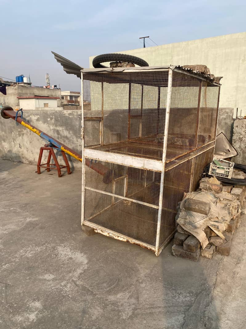 iron solid cage for hens 1