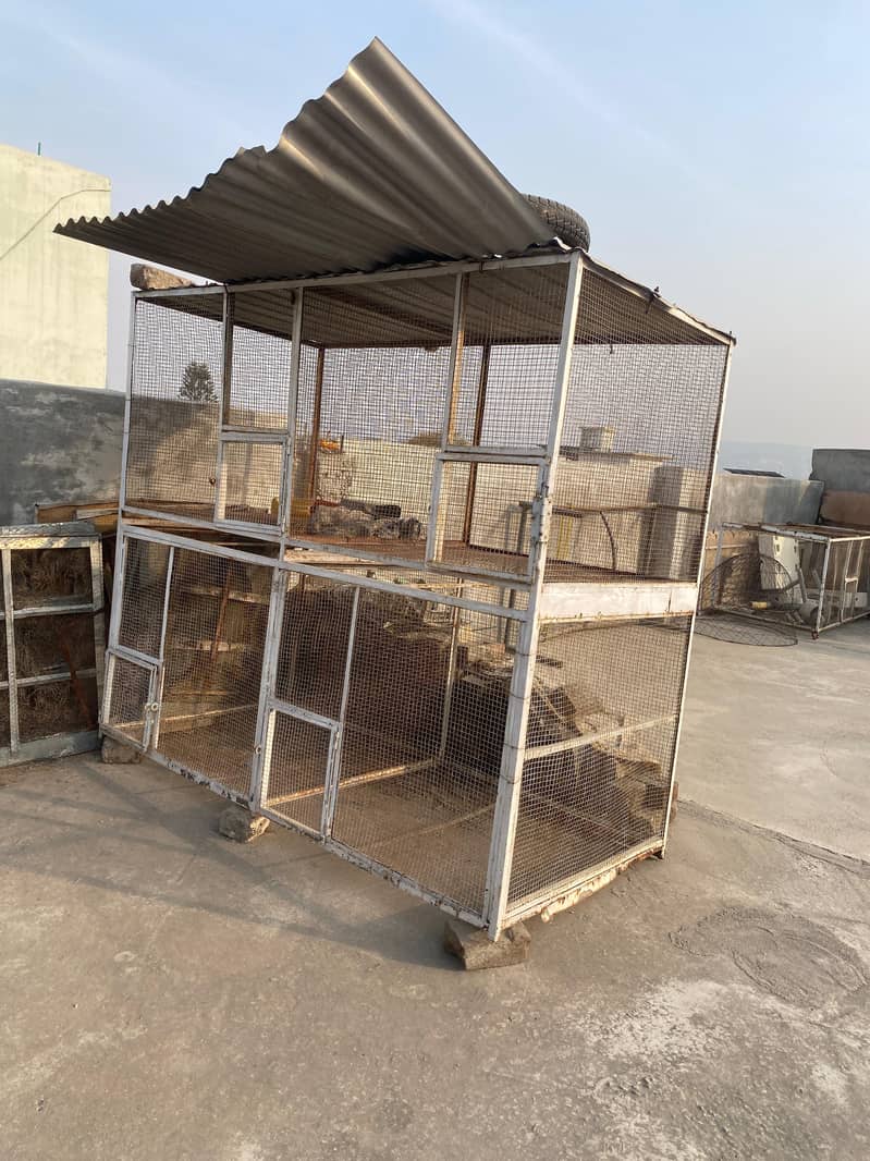iron solid cage for hens 3