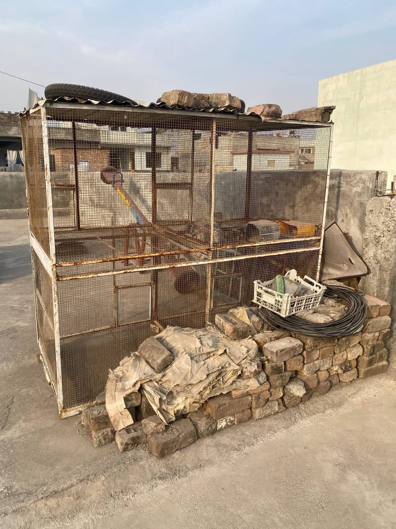iron solid cage for hens 6
