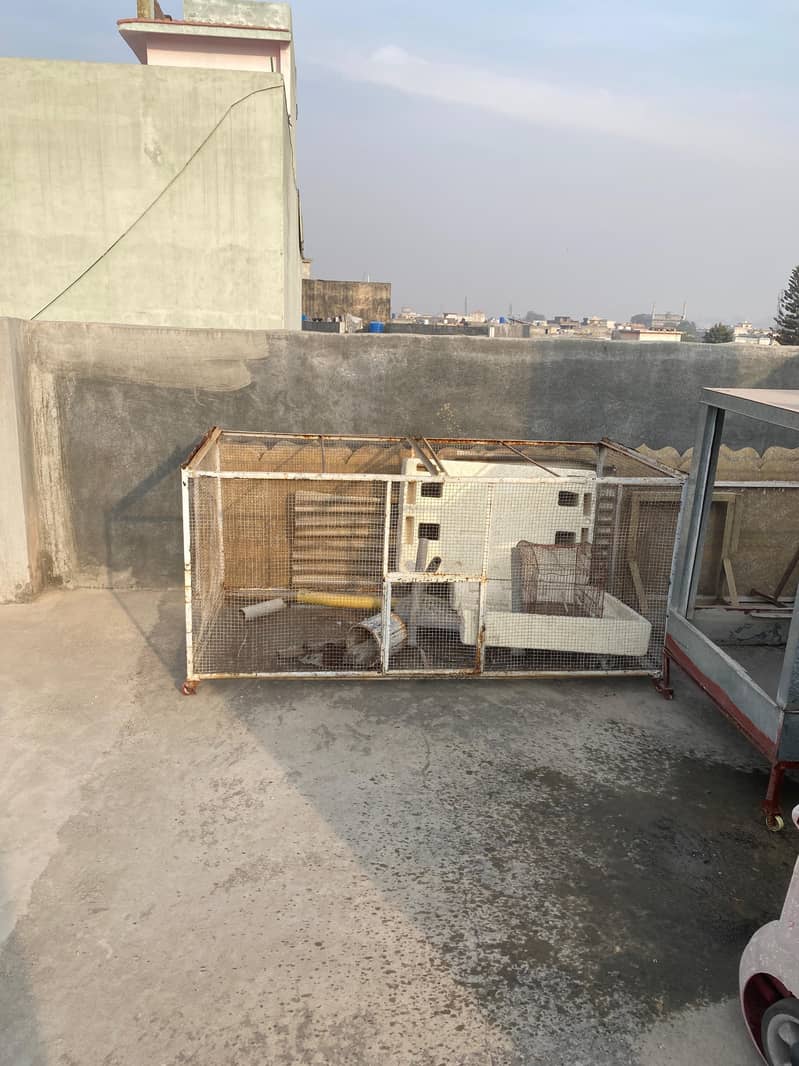 iron solid cage for hens 7