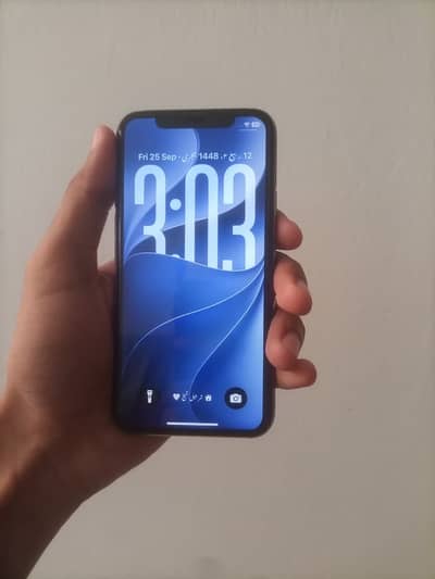 Apple iPhone 11 Pro