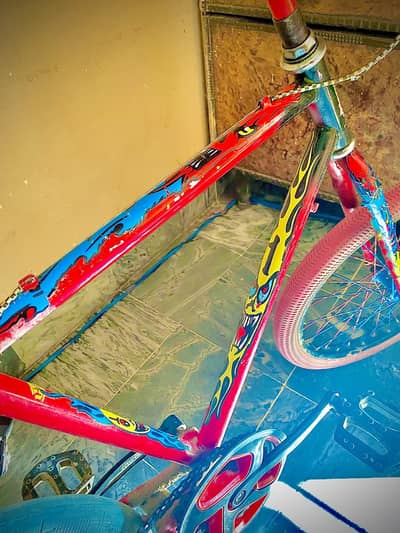 phoenix cycle and wheelie cycle