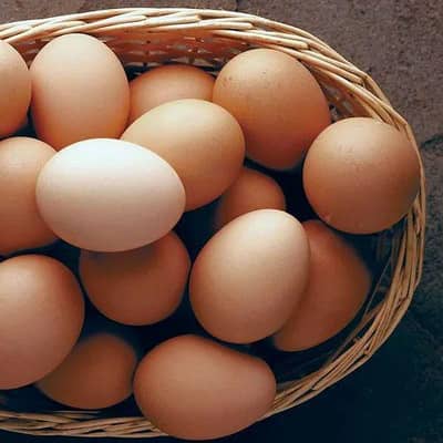 Desi Eggs 400Rs. per dozen