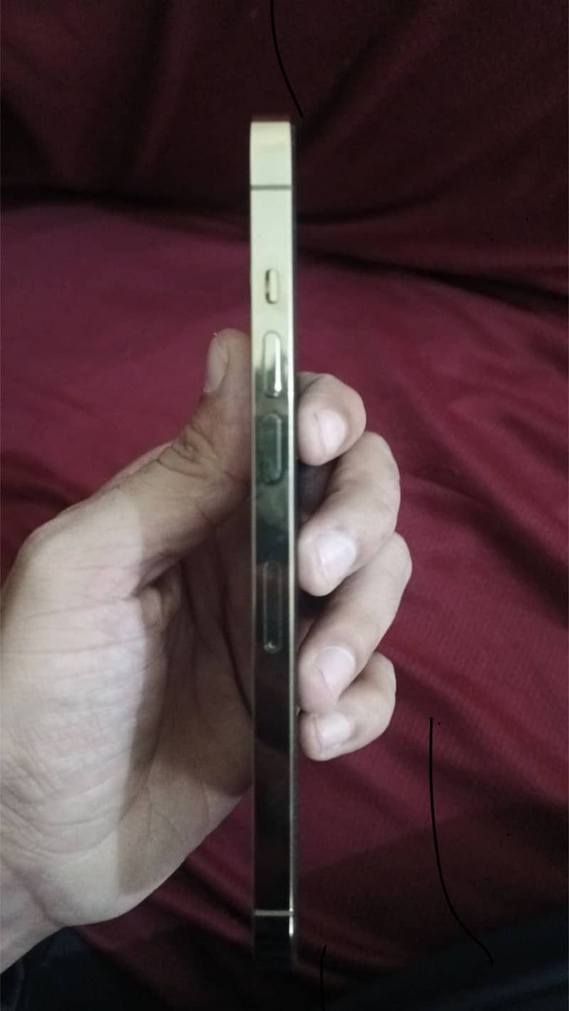 Apple iPhone 12 Pro Max 0