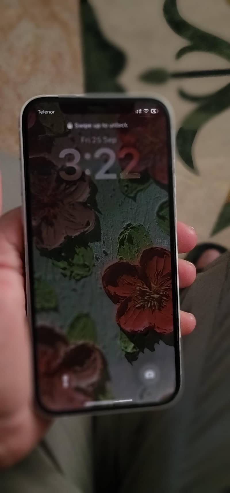 Apple iPhone 12 5