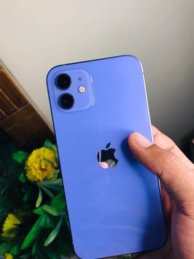 Apple iPhone 12