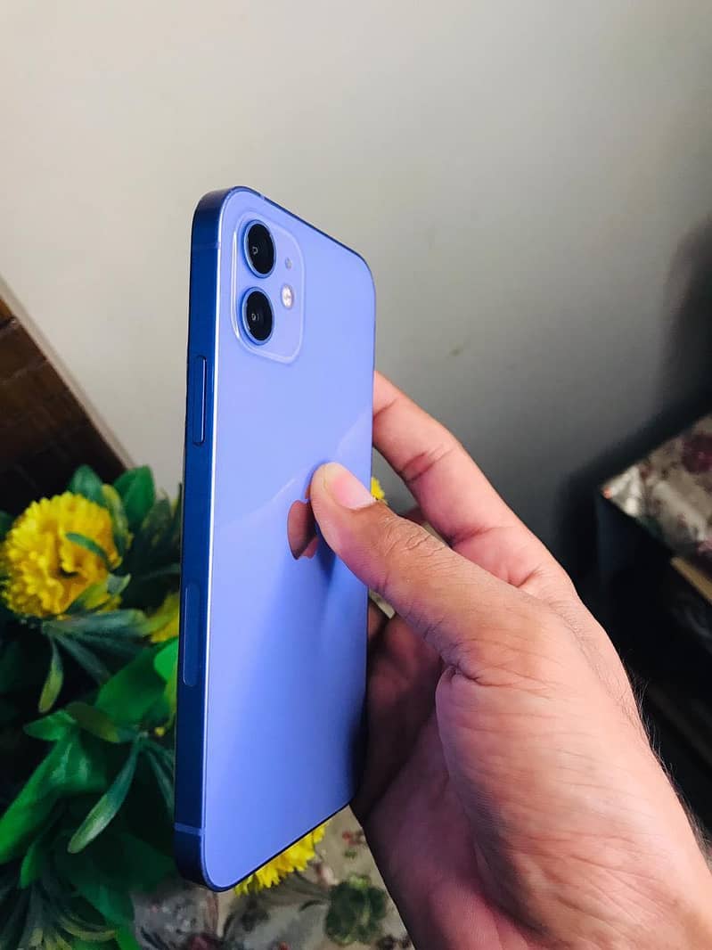 Apple iPhone 12 1