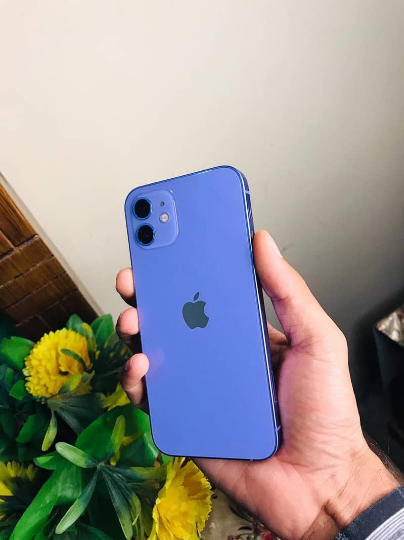 Apple iPhone 12 2