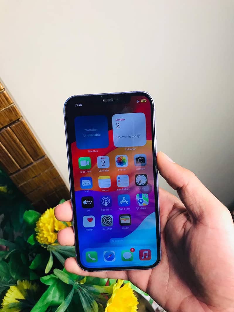 Apple iPhone 12 4