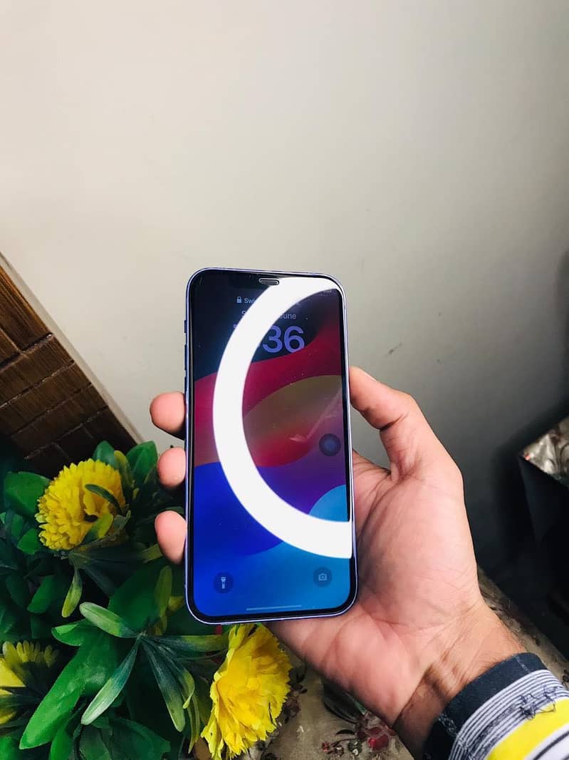Apple iPhone 12 5