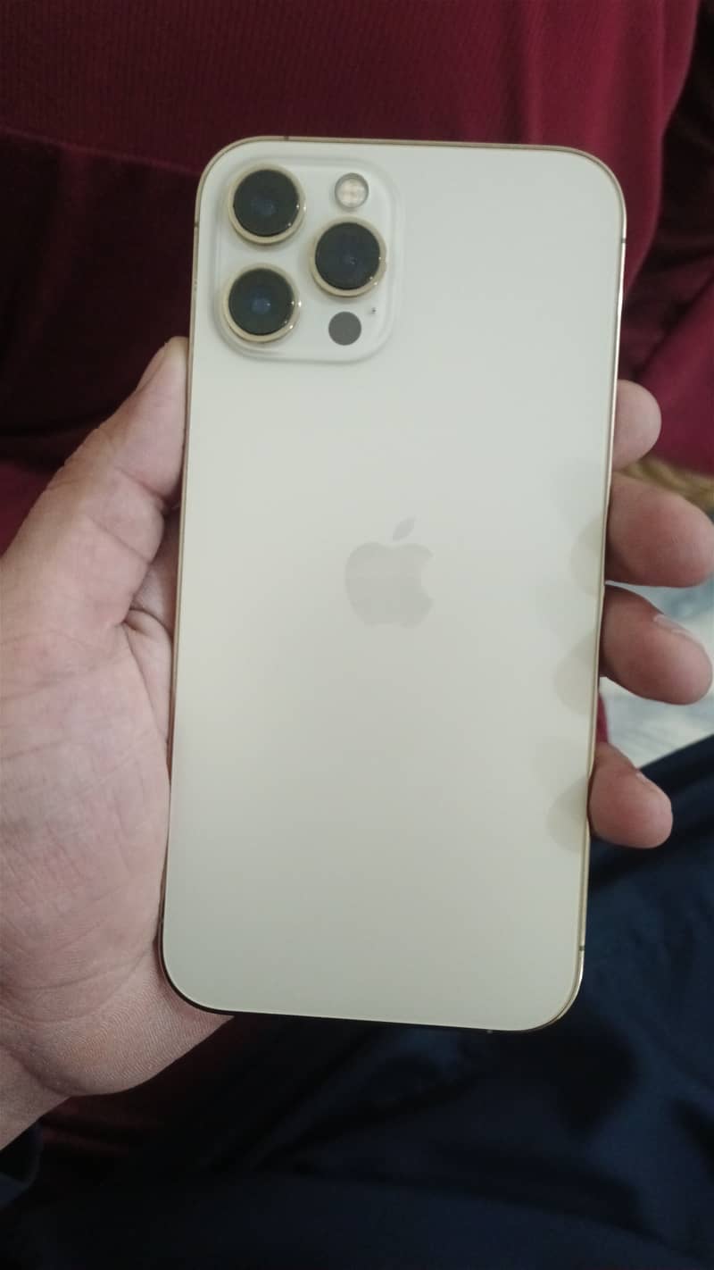 Apple iPhone 12 Pro Max 2