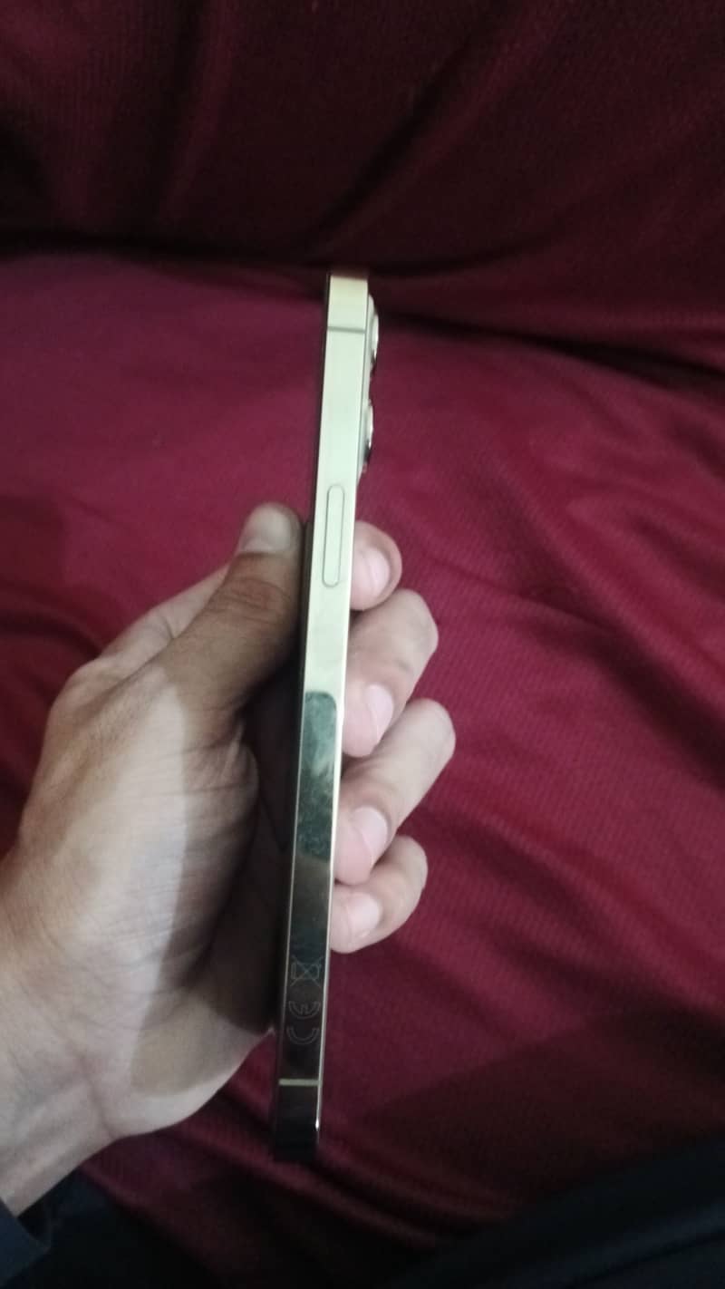 Apple iPhone 12 Pro Max 3