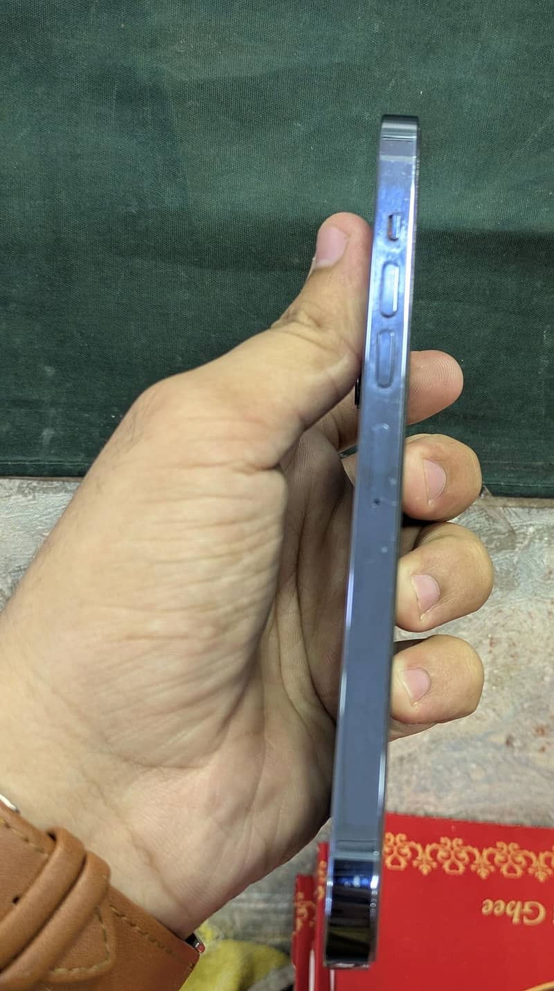 Apple iPhone 13 Pro Max 3