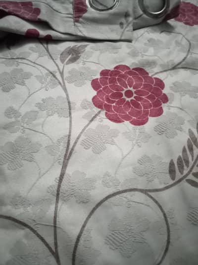 Gul Ahmed Curtain 3 PCs