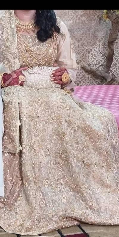 willima  maxi for wholesale price