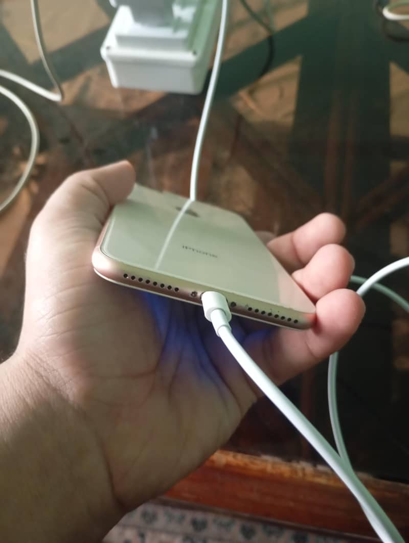Apple iPhone 8 Plus 4