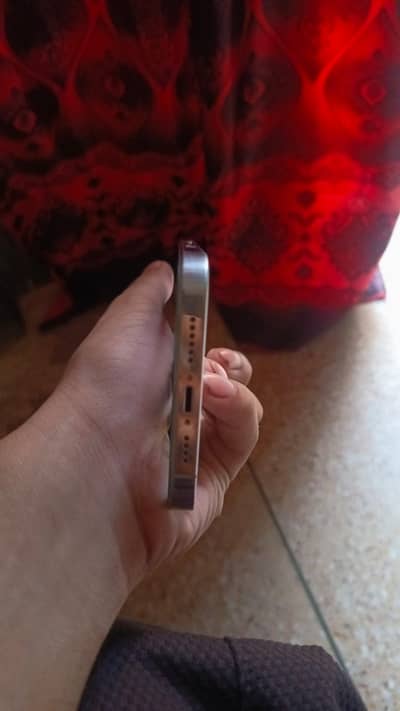 iPhone 12 Pro Max non pta