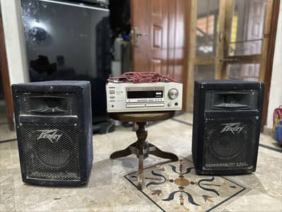 AMPLIFIER WITH 2 WOOFERS