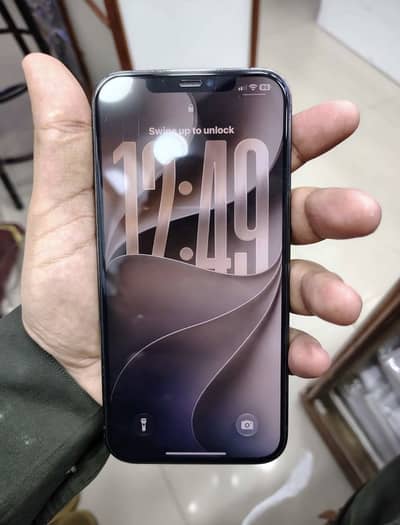 iPhone 12 Pro Max Official PTA