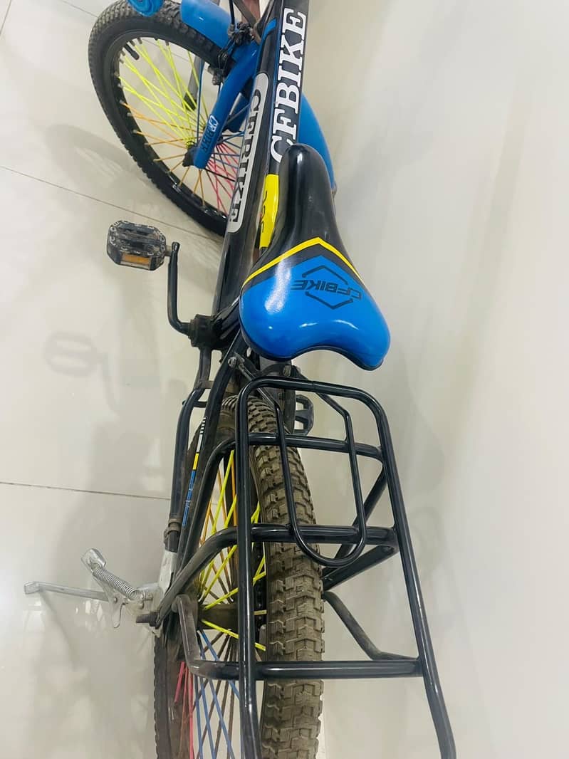 Imported Bicycle 2