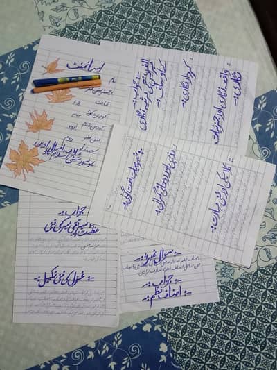 AIOU spriny assignment