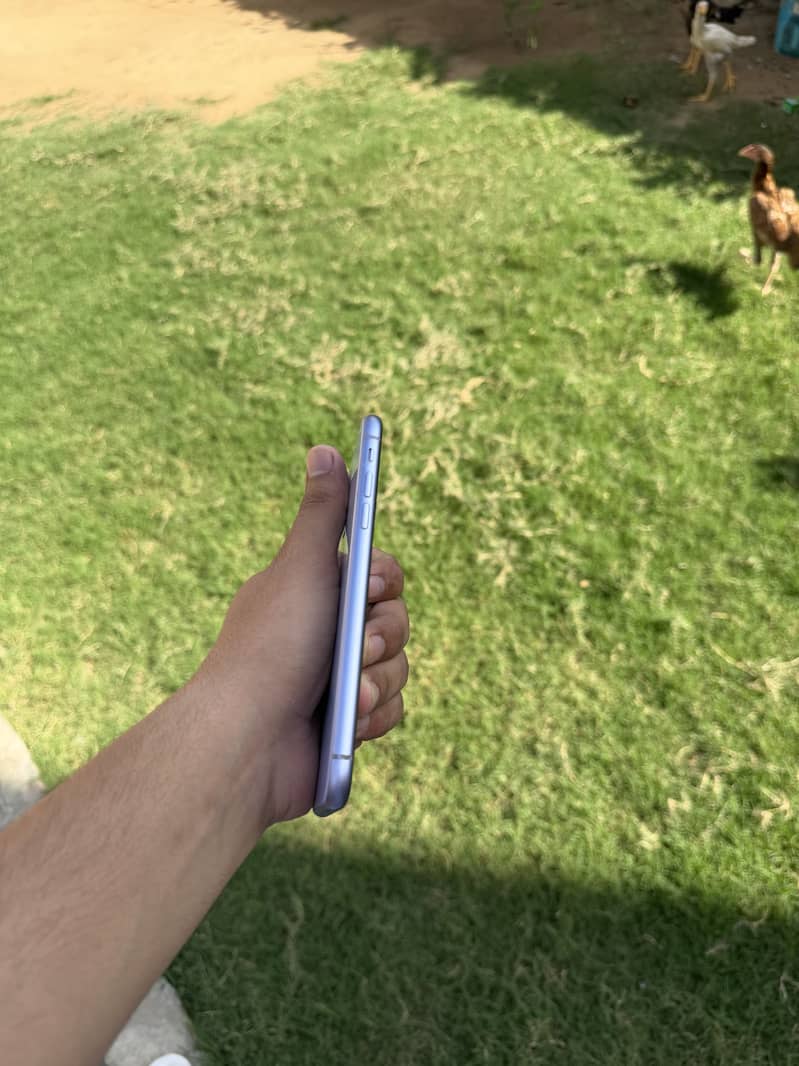 Apple iPhone 11 4