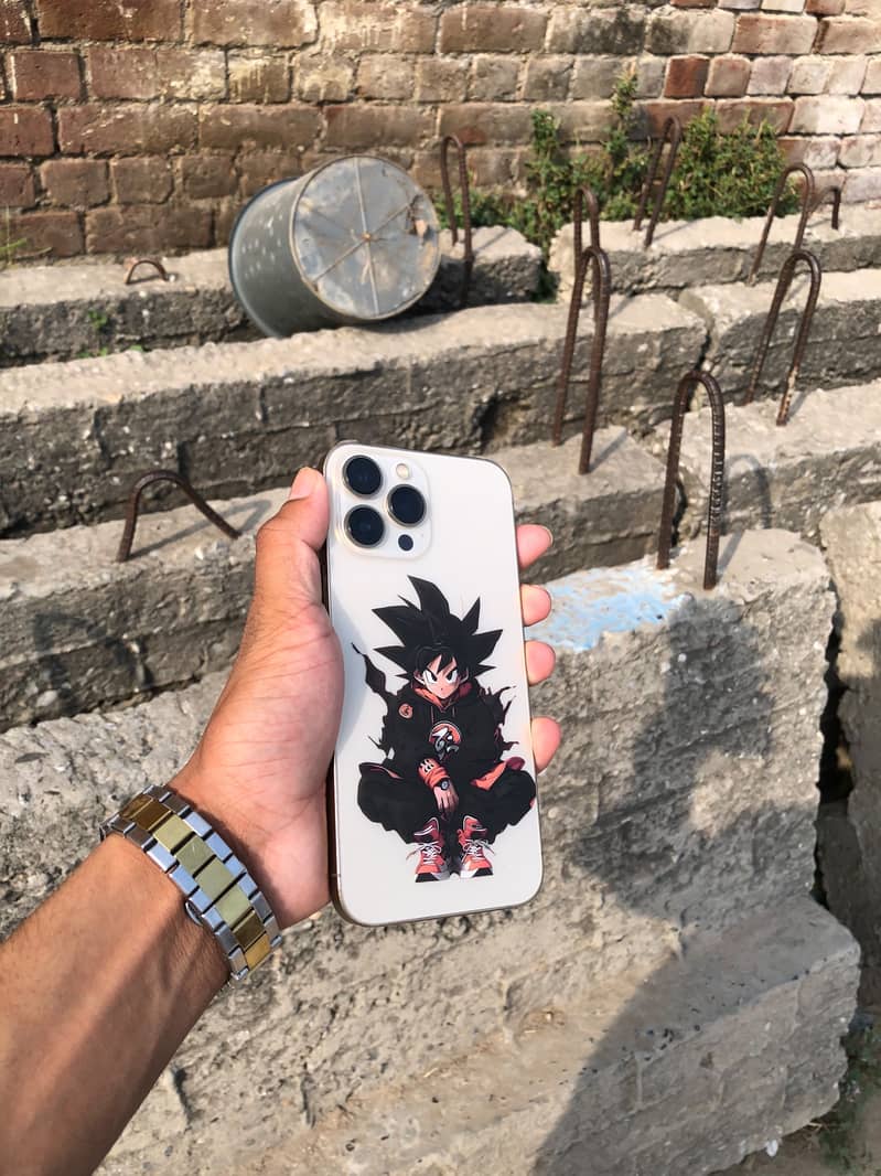 Apple iPhone 13 Pro Max 0