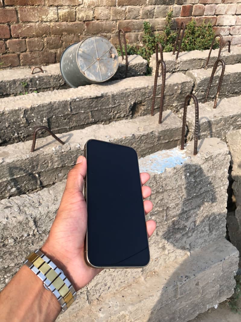 Apple iPhone 13 Pro Max 2