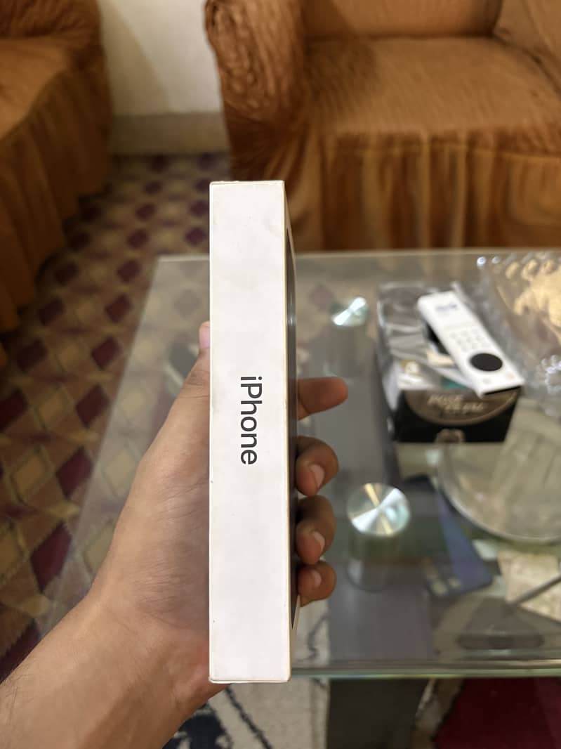 Apple iPhone 16 1