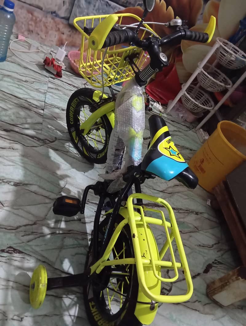 china cycle 2
