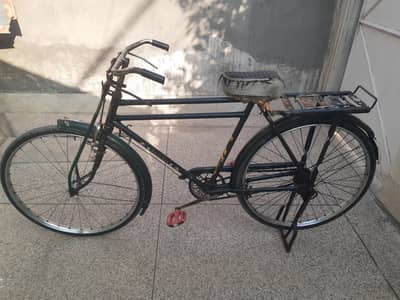 phoenix china cycle heavy weight