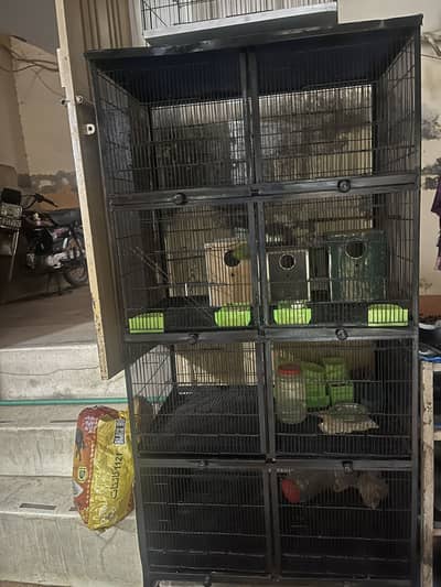 Parrots cage for sale