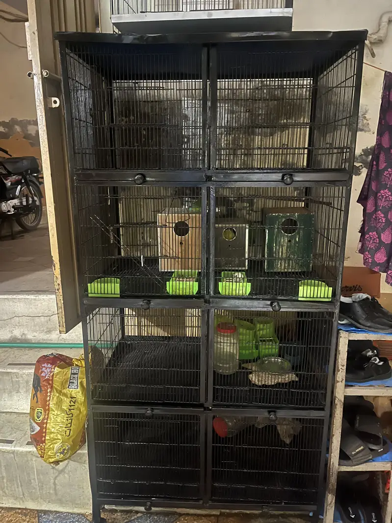 Parrots cage for sale — photo 3