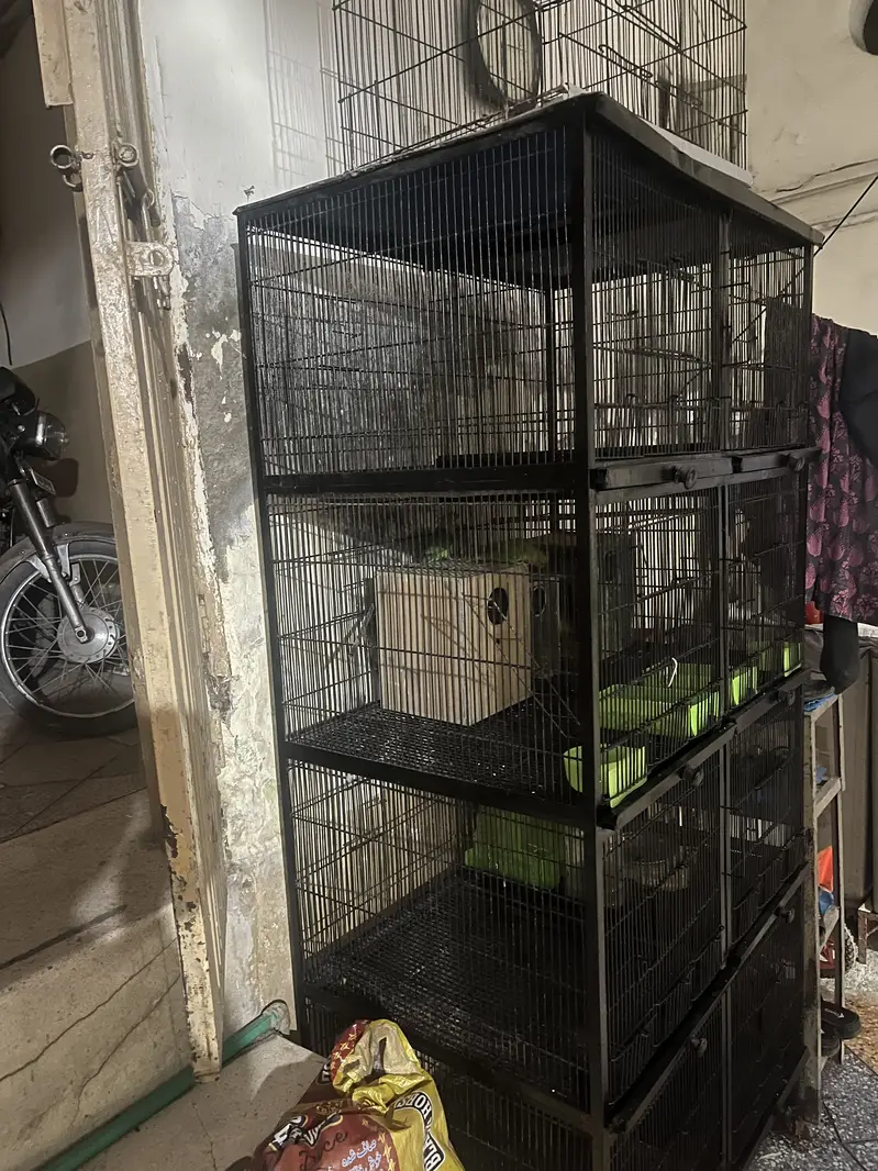Parrots cage for sale — photo 5