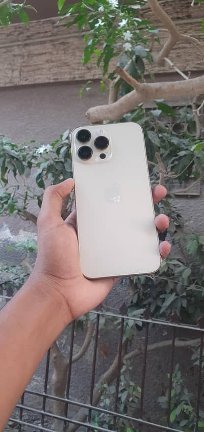 Apple iPhone 14 Pro Max