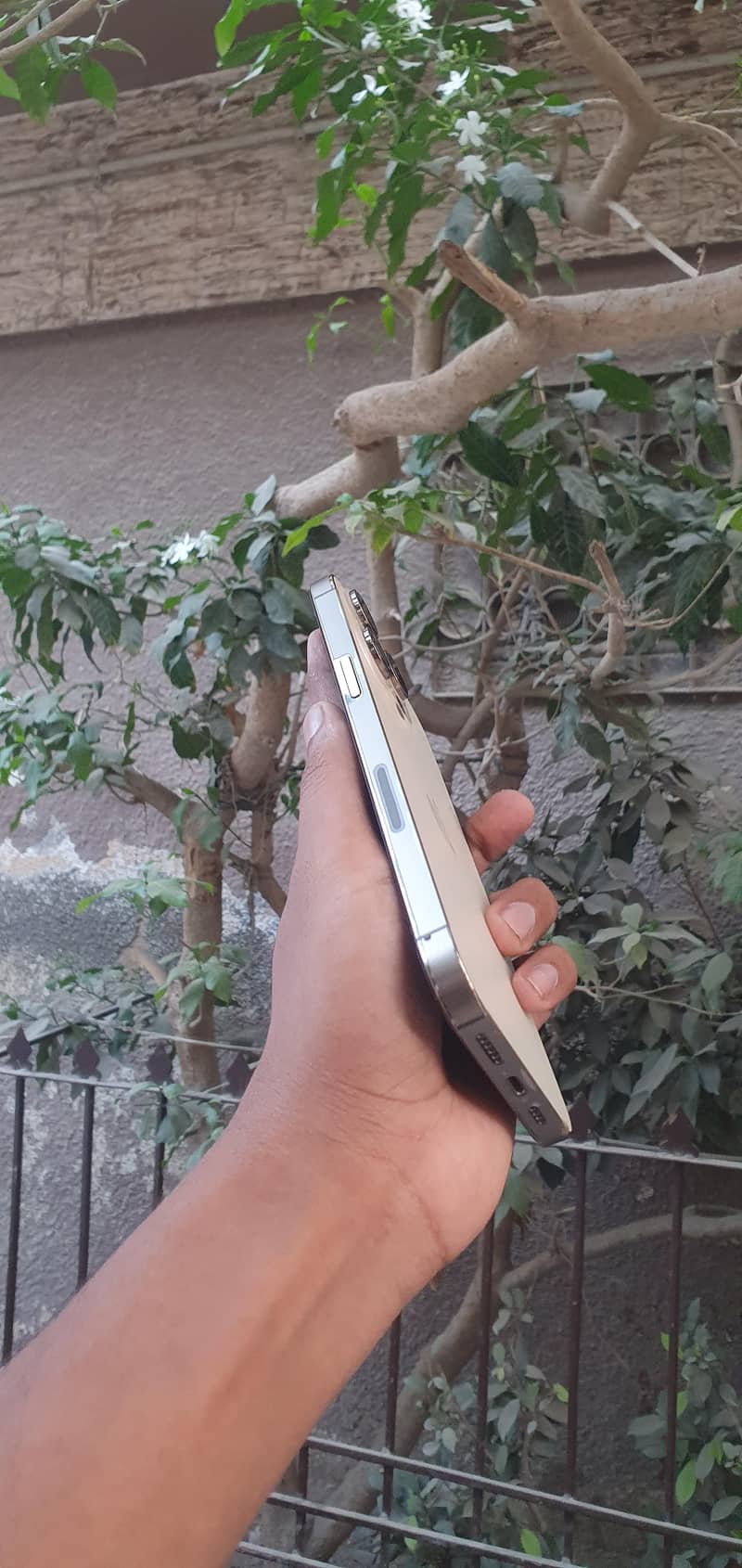 Apple iPhone 14 Pro Max 2