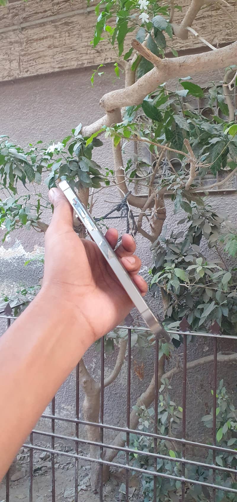 Apple iPhone 14 Pro Max 4