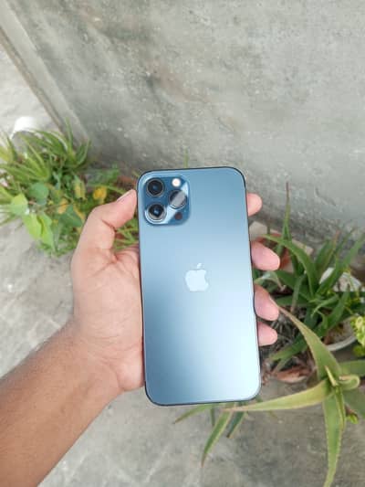 Apple iPhone 12 Pro Max | Non PTA FU | 128GB