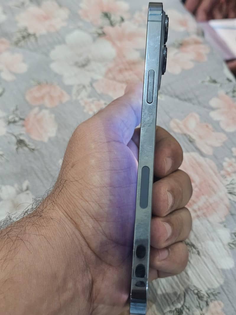 Apple iPhone 13 Pro Max 1