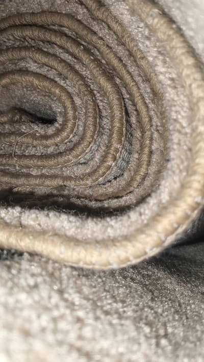 carpet selling