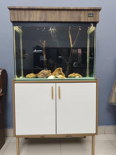 beautiful auto fish aquarium