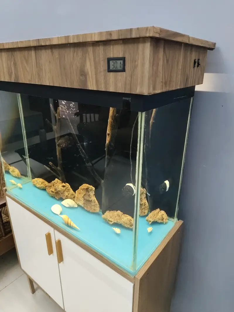 beautiful auto fish aquarium — photo 2