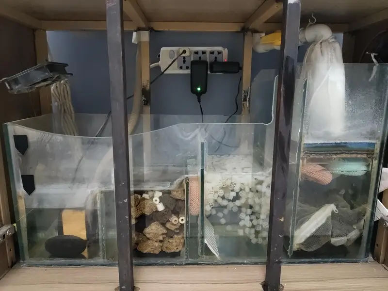 beautiful auto fish aquarium — photo 3