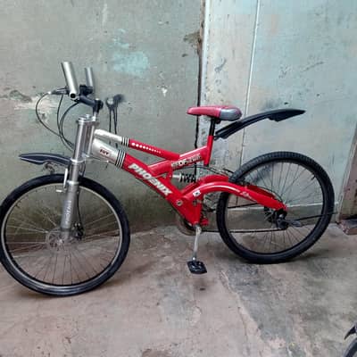 Phoenix Brand cycle