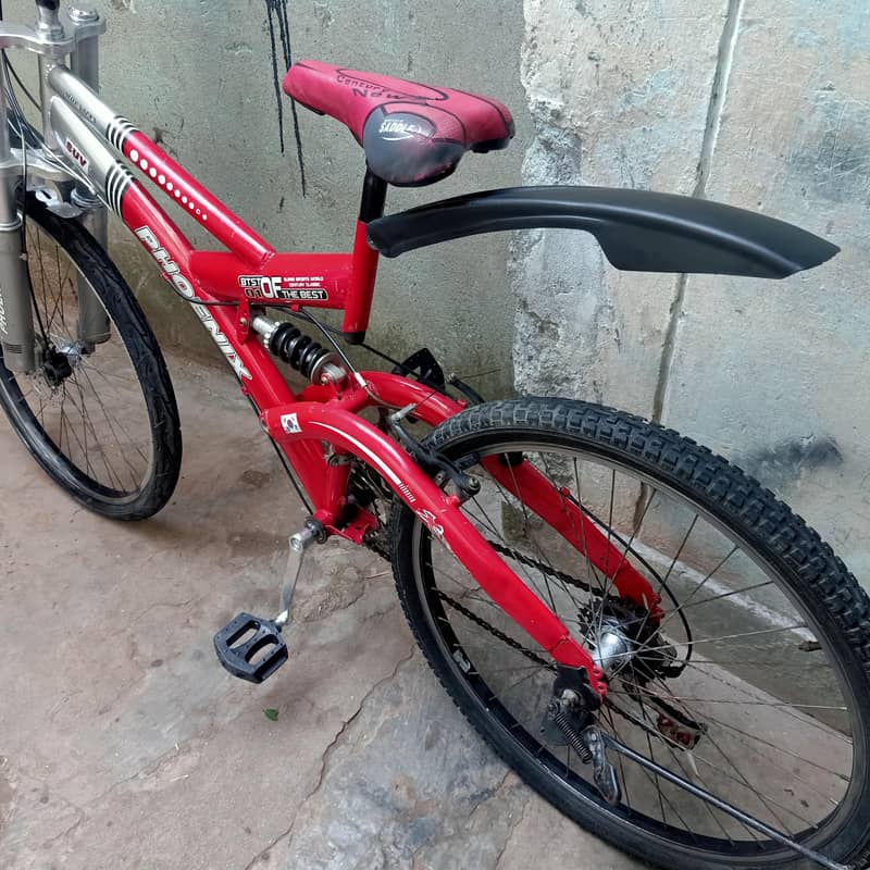 Phoenix Brand cycle 4