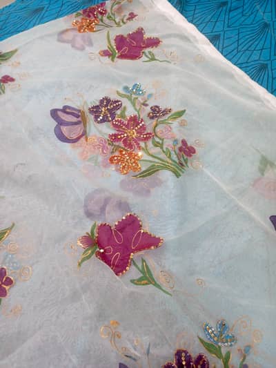 Hand painted dupatta