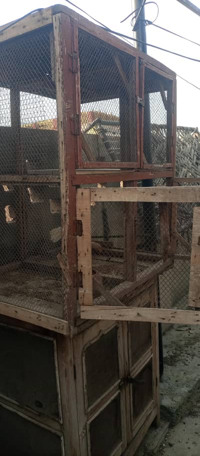 pigeon and parrot cage